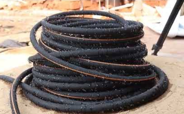 Termite treatment gallery